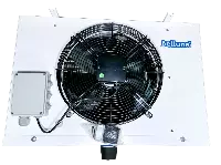Belluna P314